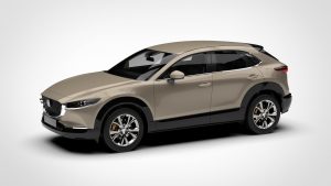 马自达 CX-30 Mazda CX-30 2020 3D模型-启模网